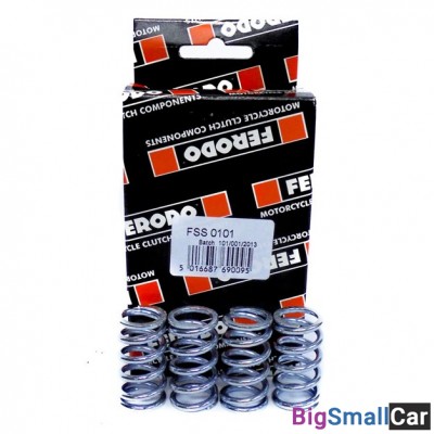 Пружины сцепления FERODO FSS0101 - купить Уфе